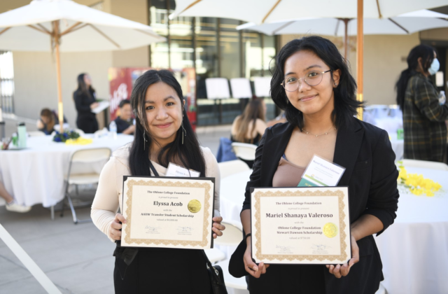Netherlands BS, MS, PhD Scholarships 2025 Admissions