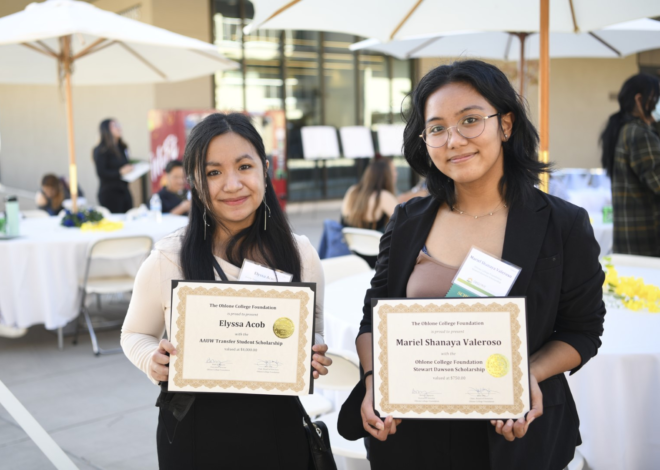 Netherlands BS, MS, PhD Scholarships 2025 Admissions