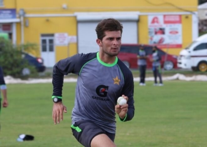 Shaheen Afridi said sorry to Mohammad Yousuf for misbehave, says report