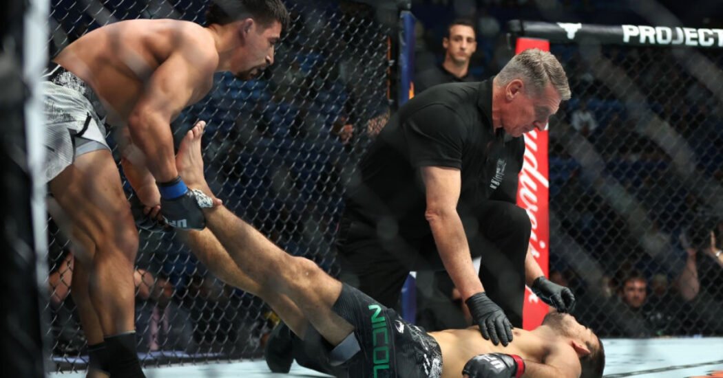 Afghanistan’s Ban on Mixed Martial Arts: The Fight Against “Too Violent” Sports 1