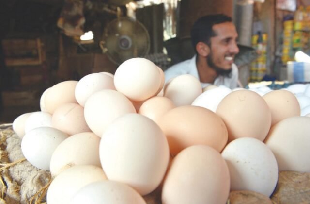 Chinese Broiler Eggs Enter Pakistani Markets Amid Rising Poultry Demand 1