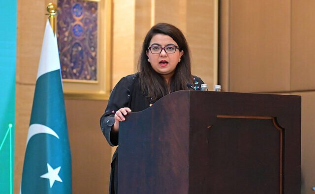 IT Minister Attributes Slow Internet in Pakistan to Widespread VPN Usage 2024