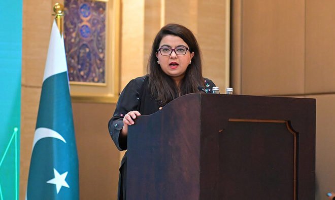 IT Minister Attributes Slow Internet in Pakistan to Widespread VPN Usage 2024