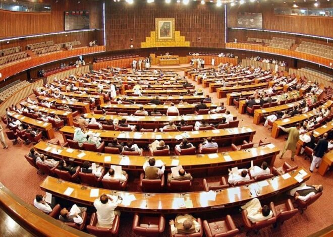 Senate Committee Agrees to Dissolve Ministry of Industries and Production, Ministry of Energy (Petroleum Division)