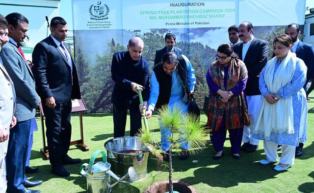 Govt to Plant Over 5 Million Trees in Islamabad: A Major Step Towards Environmental Sustainability