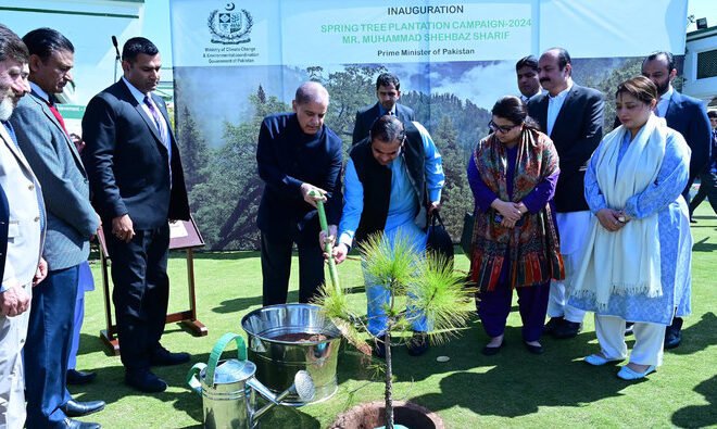 Govt to Plant Over 5 Million Trees in Islamabad: A Major Step Towards Environmental Sustainability
