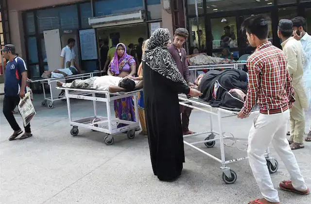 Karachi reports 211 chikungunya cases in five months