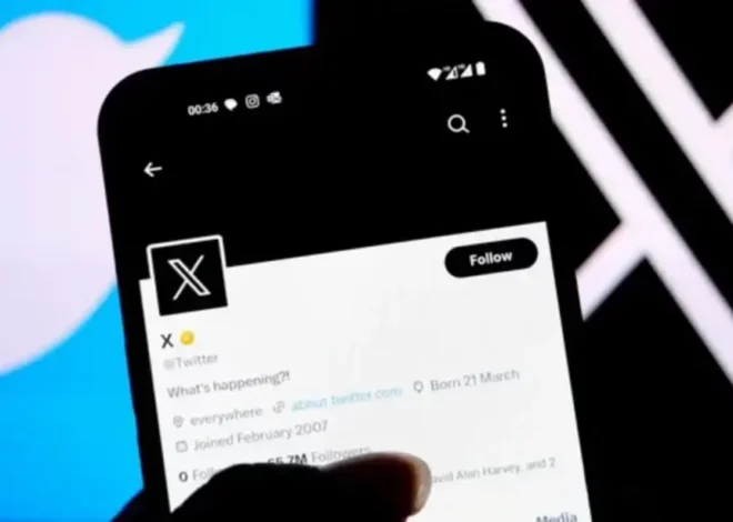 PTA Lawyer’s False Statement on X Ban Stirs Confusion 2024