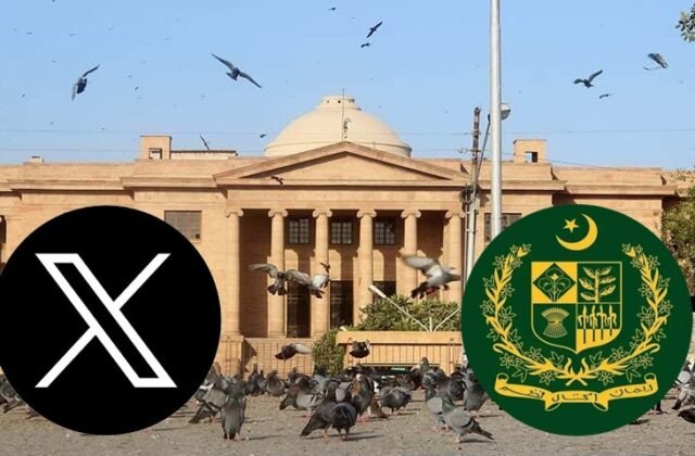 SHC Criticizes PTA Lawyer Over Lifting X Ban Statement