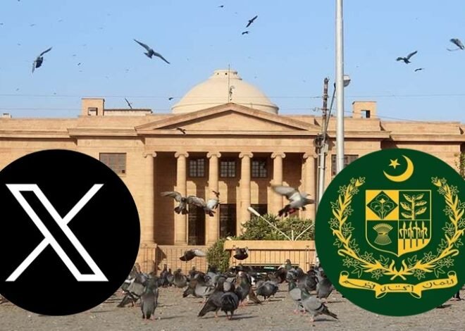 SHC Criticizes PTA Lawyer Over Lifting X Ban Statement