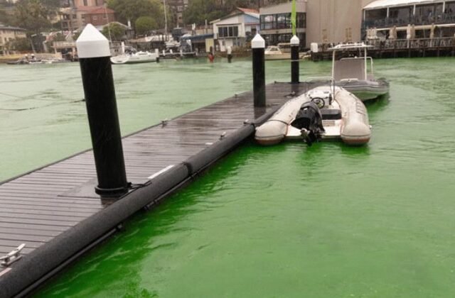 Sydney Harbor Turns Green: Mysterious Phenomenon Shocks Residents 2024
