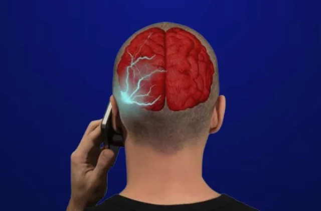 New Study by WHO Confirms No Brain Cancer Risk from Mobile Phones 2024