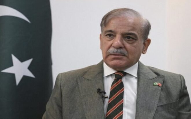 PM Shehbaz Sharif Condemns Israel’s Ban on UNRWA Operations in Palestine