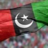 PPP Plans Resolutions in Sindh, Balochistan Assemblies on Constitutional Benches 24