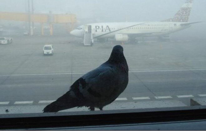 Lahore Air Pollution Reaches Hazardous Levels with AQI Above 1000