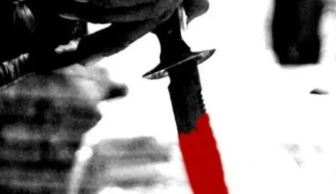 In-laws brutally murder pregnant daughter-in-law, burn her head, chop her body into pieces for Rs 15,000