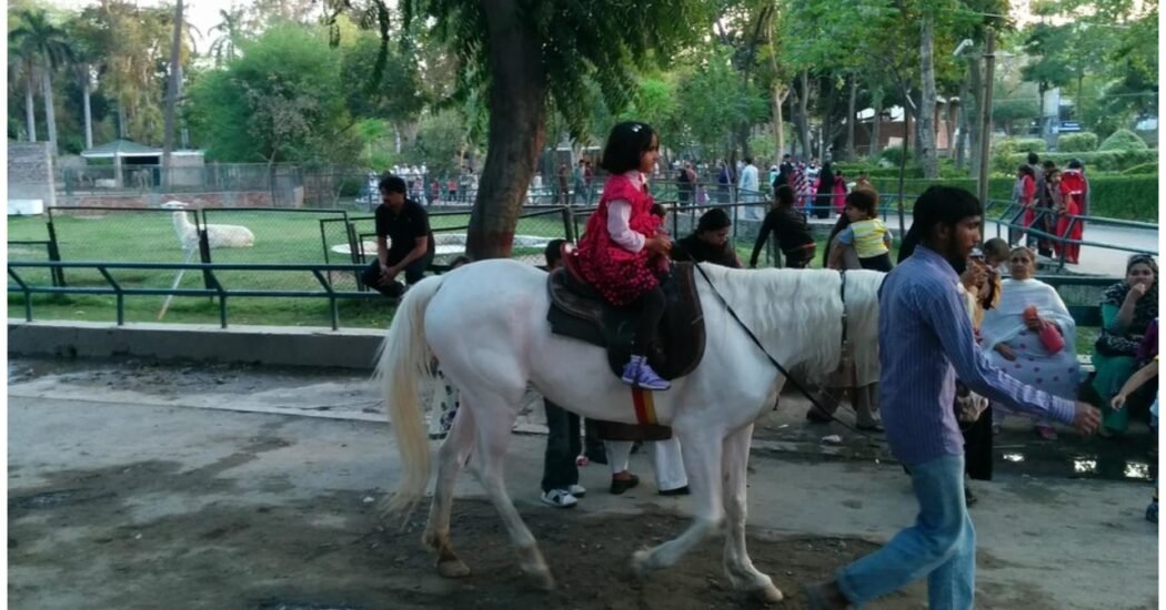 Punjab on high alert! No access to parks, zoos, playgrounds, and historic sites till November 17