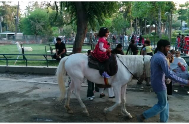 Punjab on high alert! No access to parks, zoos, playgrounds, and historic sites till November 17