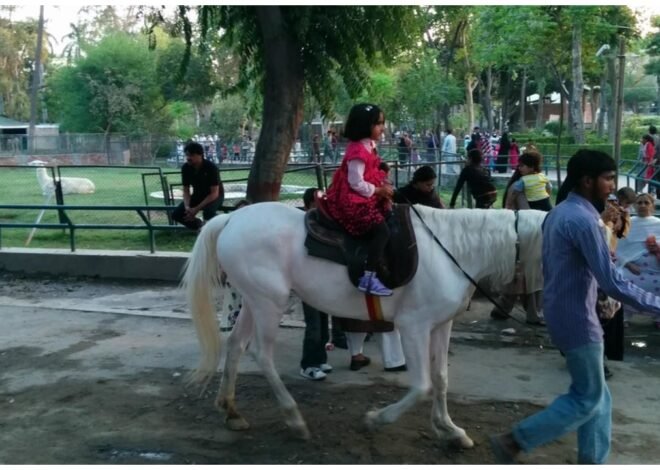 Punjab on high alert! No access to parks, zoos, playgrounds, and historic sites till November 17