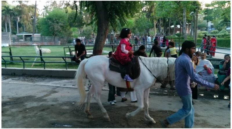 Punjab on high alert! No access to parks, zoos, playgrounds, and historic sites till November 17