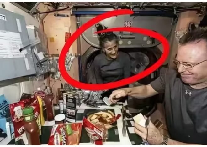 Astronaut Sunita Williams stuck in space for months: Is NASA providing her enough food?