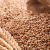 KP CM Gandapur Decides to Supply Wheat at Lower Rates in Kurram