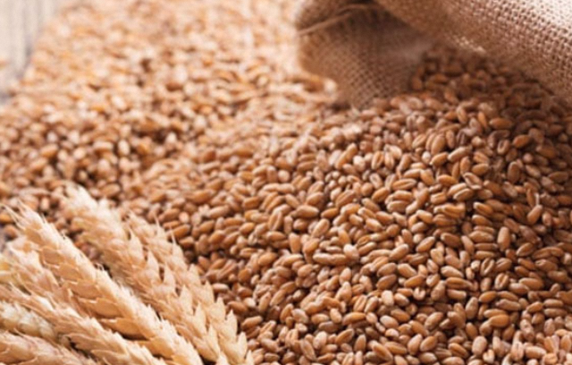 KP CM Gandapur Decides to Supply Wheat at Lower Rates in Kurram
