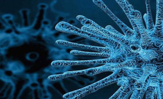 Pakistan Reports Three New Polio Cases, Tally Rises to 59 in 2024