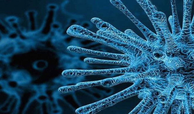 Pakistan Reports Three New Polio Cases, Tally Rises to 59 in 2024