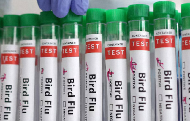 US Reports First Severe Human Case of Bird Flu; California Declares Emergency