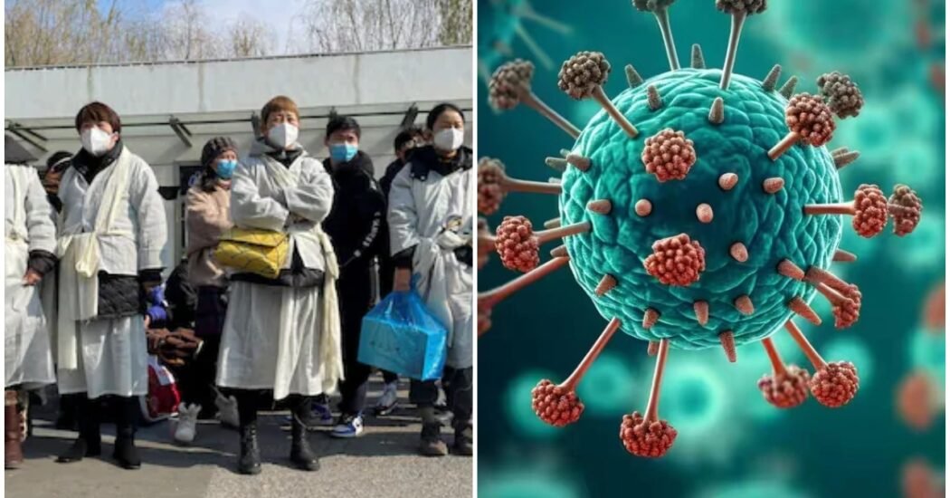 Human Metapneumovirus (HMPV) in China
