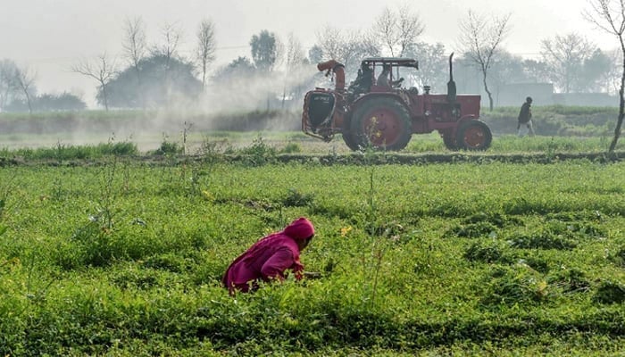 Khyber Pakhtunkhwa Introduces Agricultural Income Tax Bill 2025