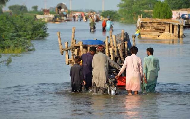 Collective Action and Regional Cooperation: A Call to Address the Climate Crisis