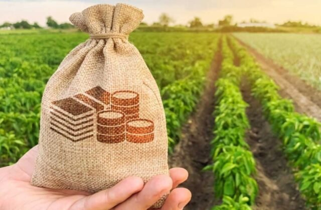 IMF to Reveal Bailout Review Date After Breakthrough in Sindh Agriculture Tax Law