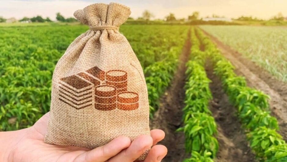 IMF to Reveal Bailout Review Date After Breakthrough in Sindh Agriculture Tax Law