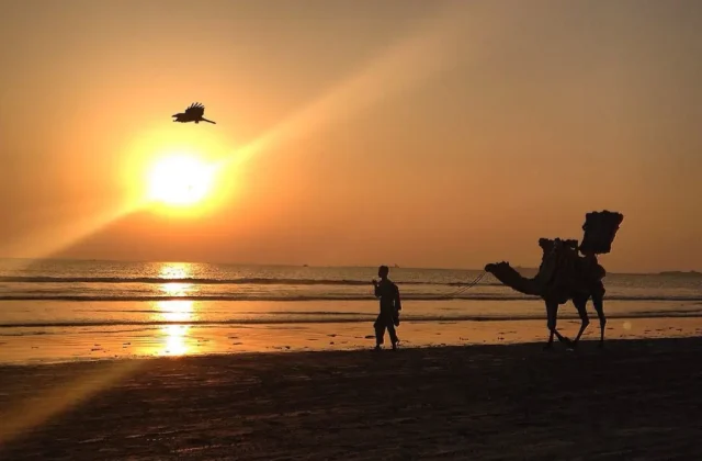 February 9 to mark end of winter in Karachi, temperatures expected to rise