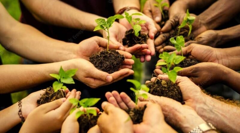 Punjab to Plant 200,000 Trees in Two Cities: A Green Step Toward a Sustainable Future