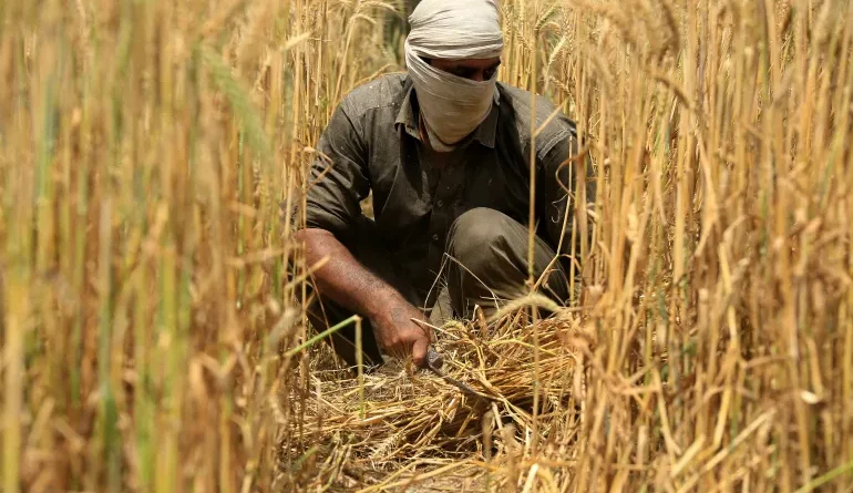 Kisan Card Programme: Punjab Farmers Receive Historic Boost Under New Rs 15 Billion Wheat Support Plan