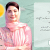 Punjab Halts New Entries for ‘Apni Zameen, Apna Ghar’ Scheme as Scrutiny Begins