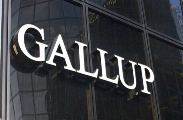 Nearly Half of Pakistani Businessmen Believe Country Moving in Right Direction: Gallup Survey
