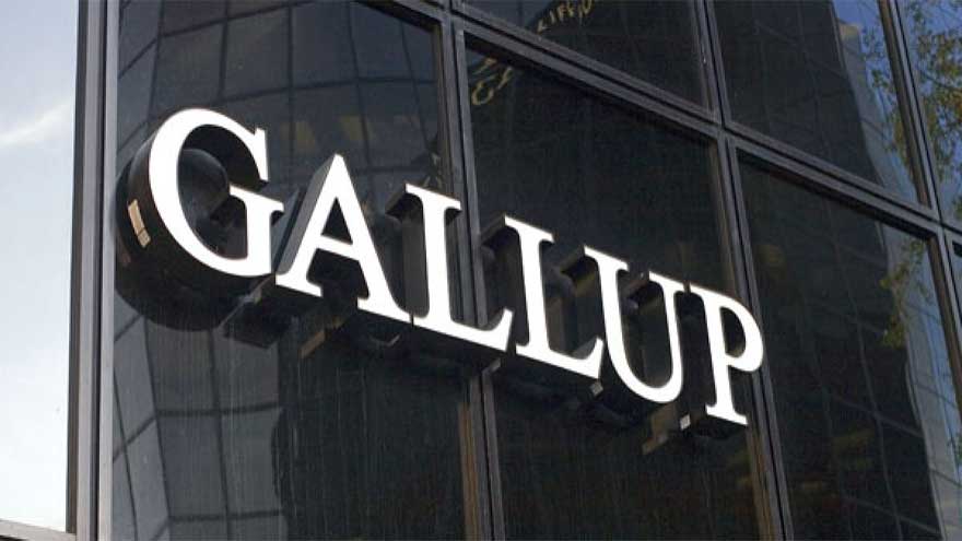 Nearly Half of Pakistani Businessmen Believe Country Moving in Right Direction: Gallup Survey