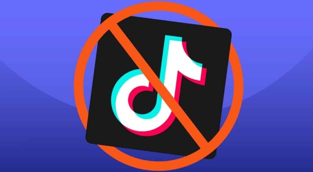 Punjab Assembly Seeks Nationwide Ban on TikTok