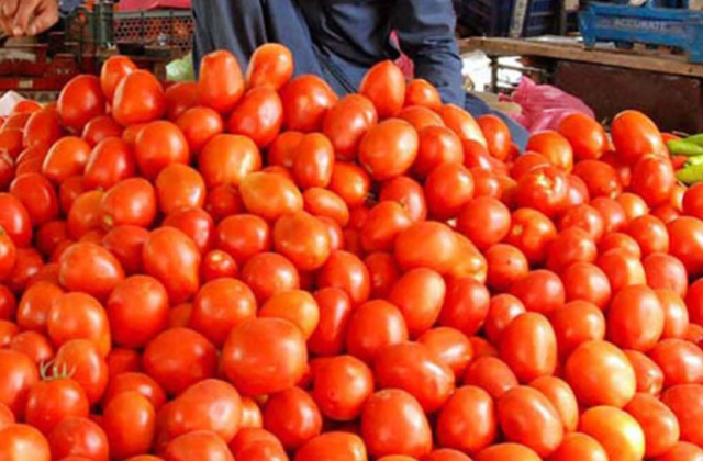 Tomato Prices Cross Rs.500 Per Kg in Pakistan as Inflation Drives Vegetable Costs to Record Highs