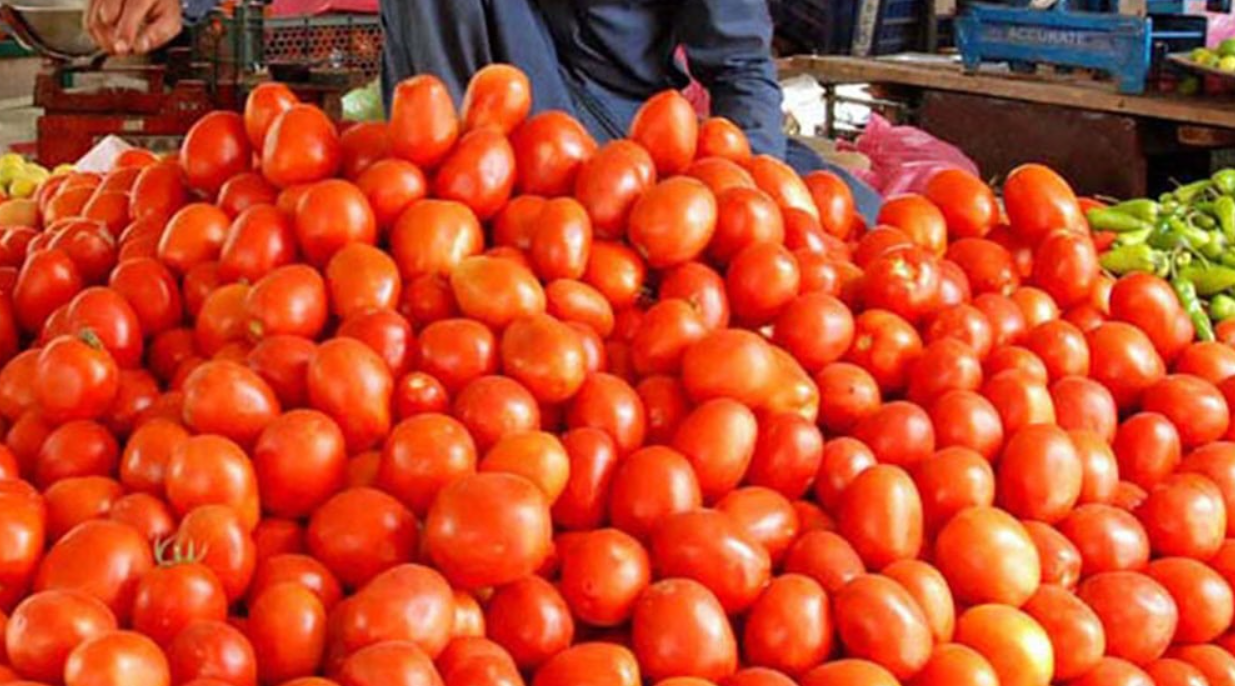 Tomato Prices Cross Rs.500 Per Kg in Pakistan as Inflation Drives Vegetable Costs to Record Highs
