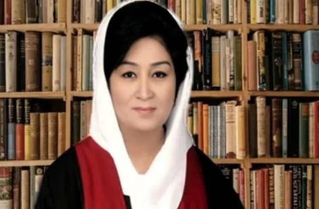 Judicial Appointment Decline: Justice Musarrat Hilali Declines Federal Constitutional Court Appointment