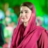 Punjab Chief Minister Maryam Nawaz Attends COP30 Climate Summit