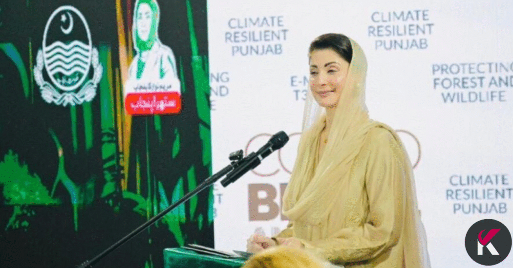 Punjab Climate Strategy: Punjab Unveils Rs123 Billion Climate Action Plan at COP-30