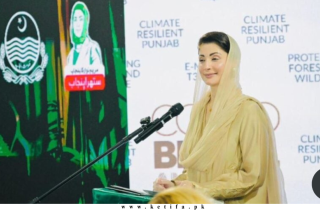 Punjab Climate Strategy: Punjab Unveils Rs123 Billion Climate Action Plan at COP-30