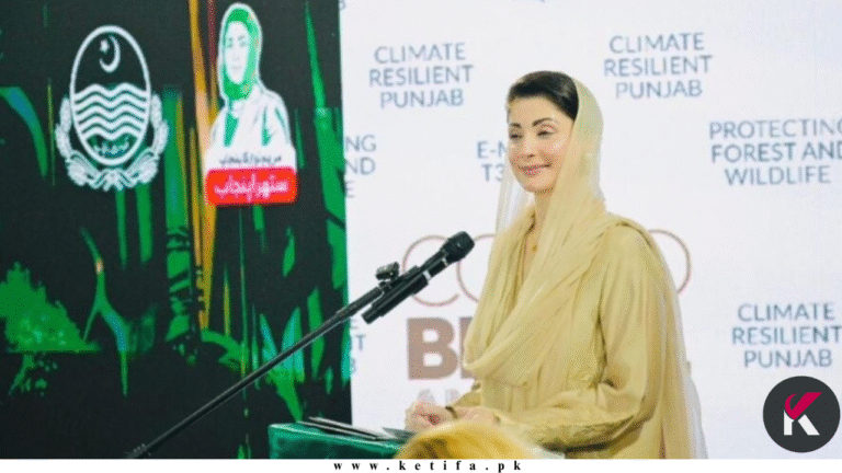 Punjab Climate Strategy: Punjab Unveils Rs123 Billion Climate Action ...