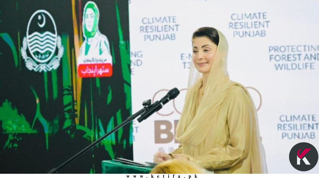 Punjab Climate Strategy: Punjab Unveils Rs123 Billion Climate Action Plan at COP-30